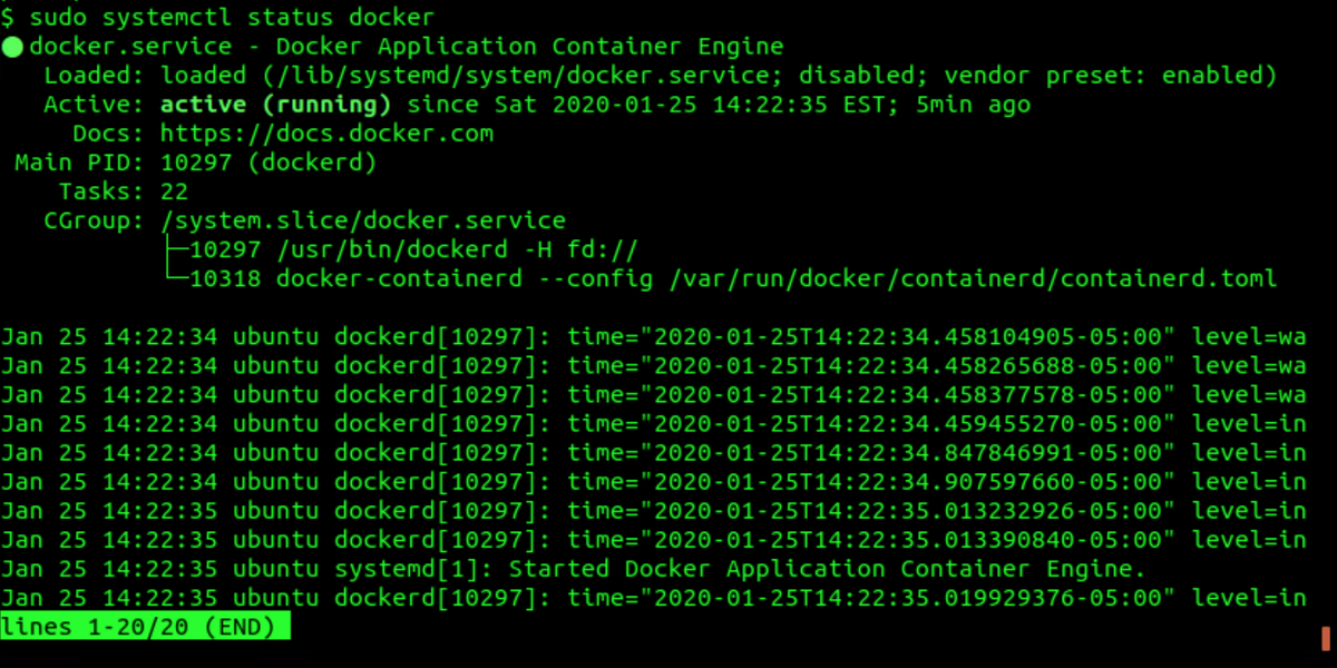 Screenshot: Docker Status Output