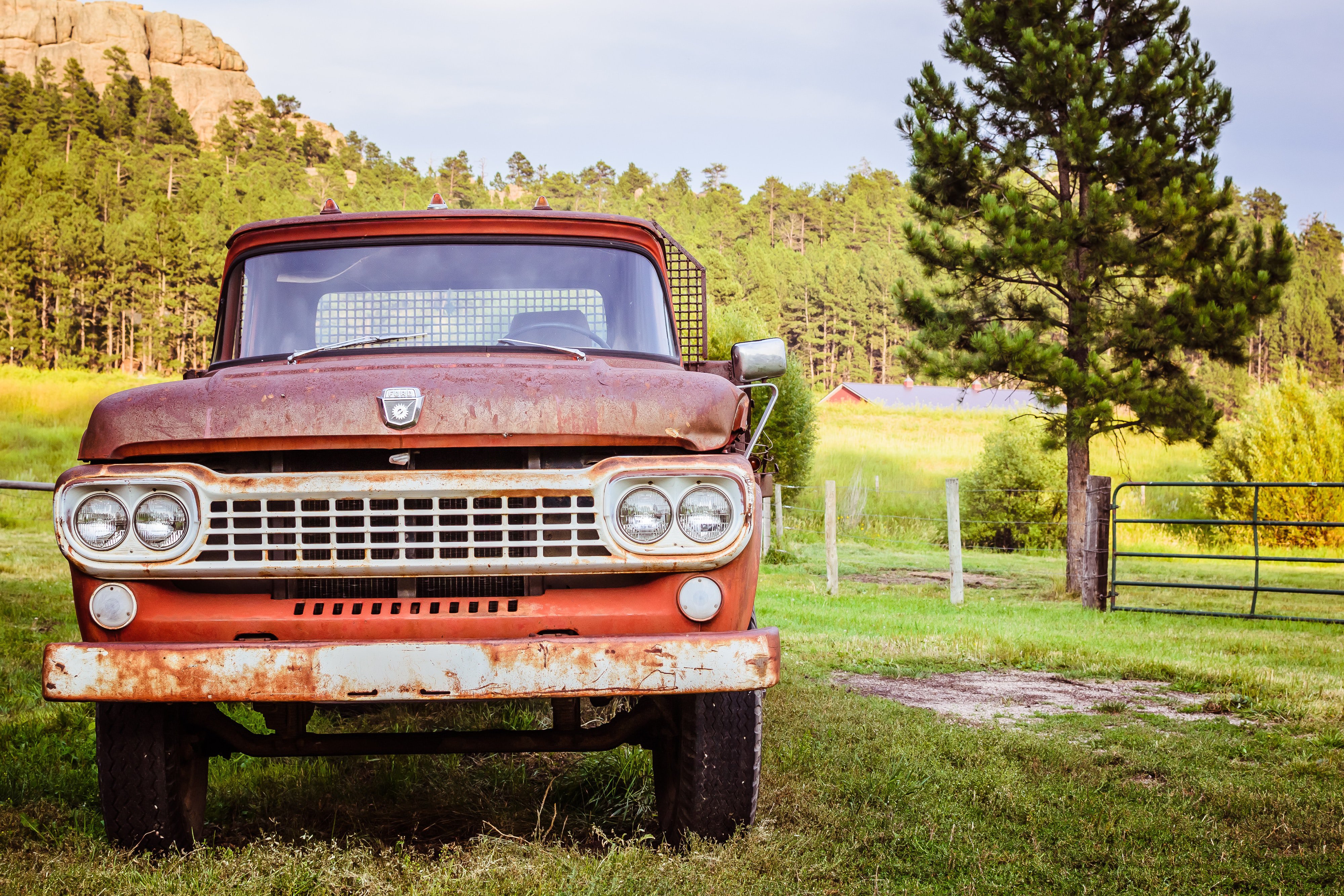 Farmer's Truck in a Field