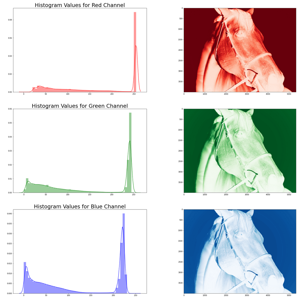 FIgure: RGB Channels for Resnet Horse