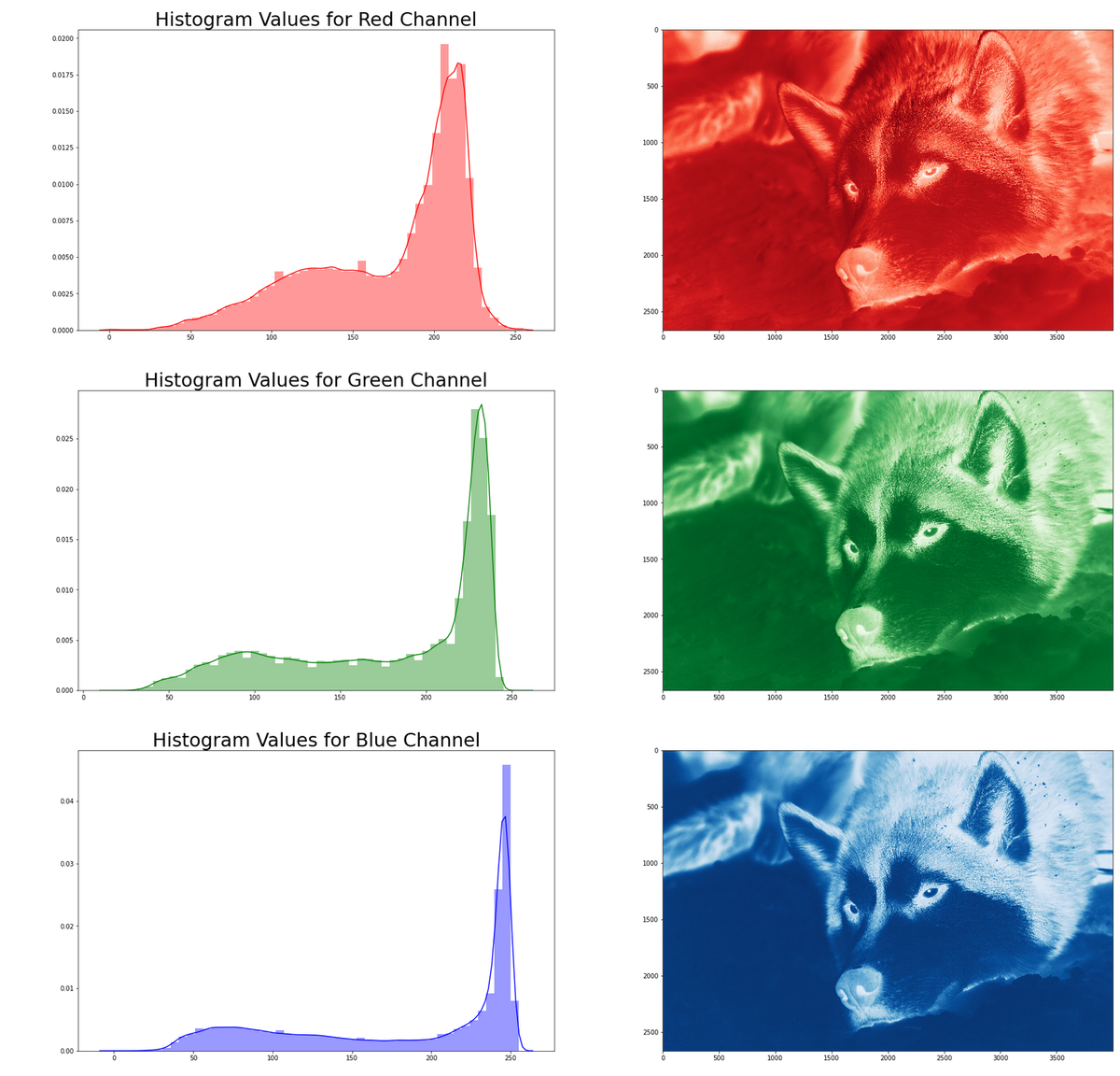 Figure: RGB Channel Histograms for Resnet Wolf