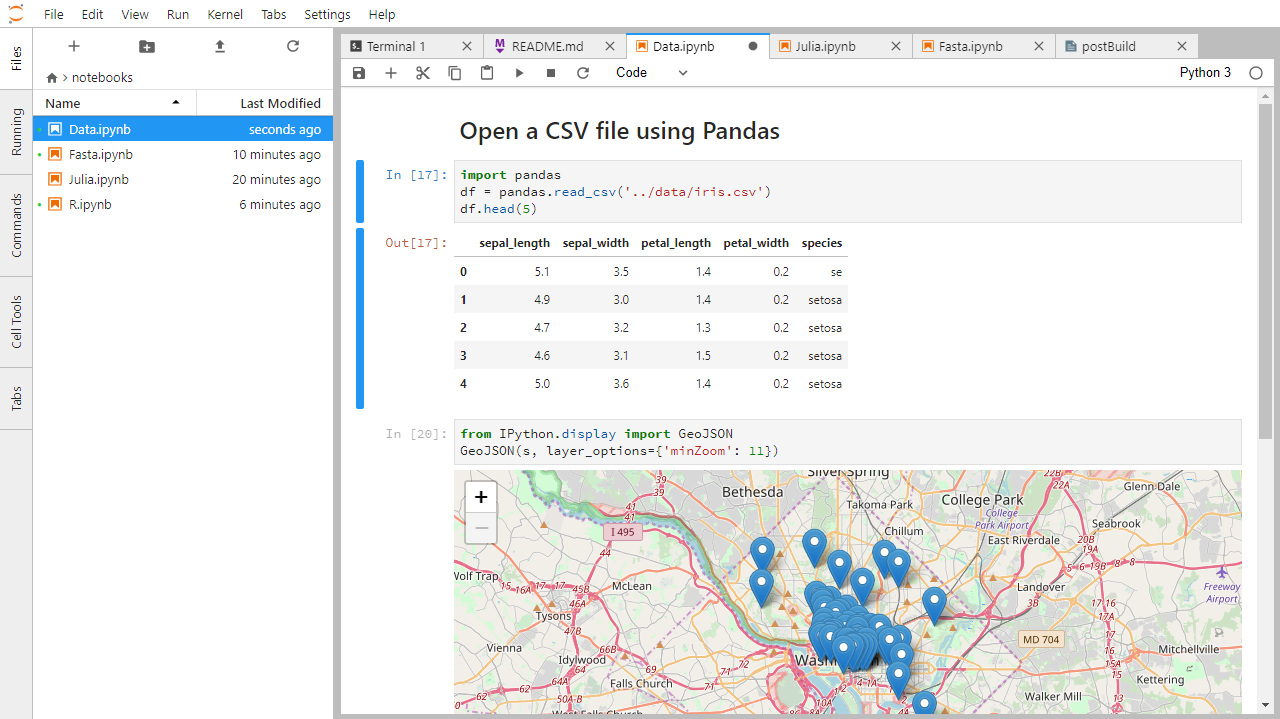 Jupyter Lab: Notebook Interface